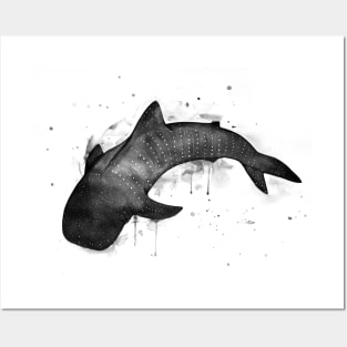 Whale shark, black and white Posters and Art